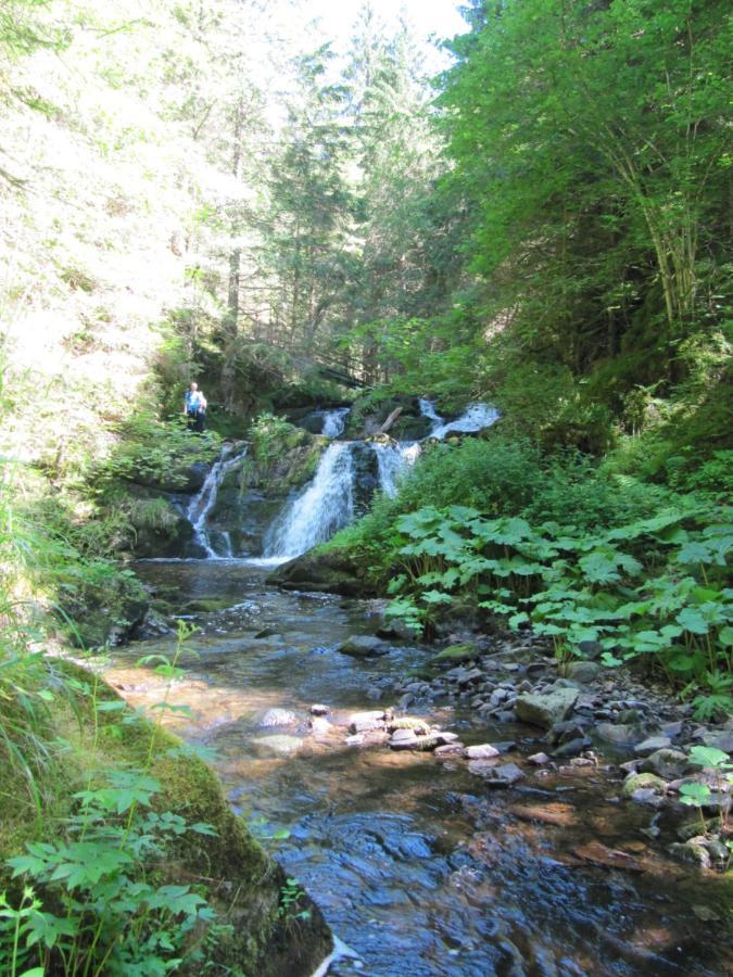 Roetenbacher Wiesen Friedenweiler Eksteriør bilde